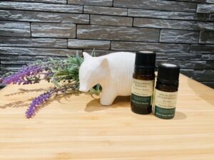 クリスタ長堀店 セラピストのおすすめaroma 花粉症編 Mont Saint Michel Aromalaboratory モンサンミッシェルアロマラボラトリー クリスタ長堀店 セラピストのおすすめaroma 花粉症編 Mont Saint Michel Aromalaboratory モンサンミッシェルアロマラボラトリー